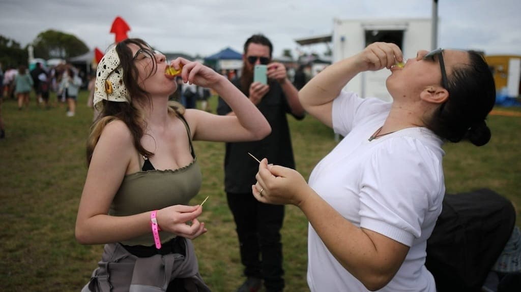 Hokitika Wildfoods Festival