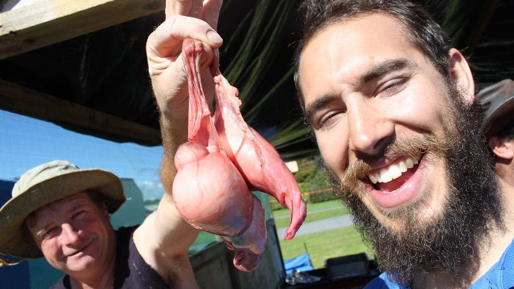 Hokitika Wildfoods Festival New Zealand